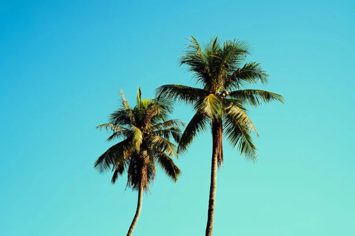 Seasonal Nomading in South-East Asia: Where to Go Month by Month
